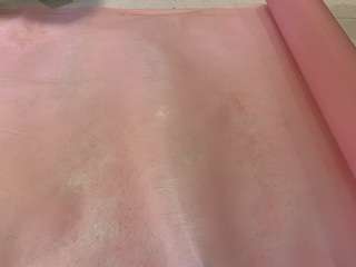 Img 3234