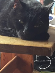 Tom