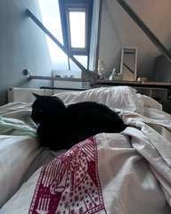 Img 4752