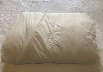 Img 6060