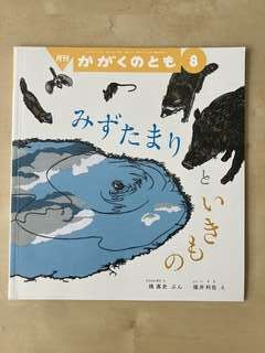 Img 7005
