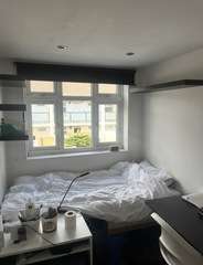 Img 0277