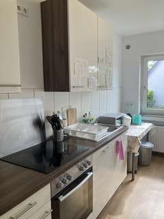 Img 0742