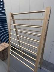 Img 1888