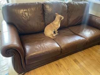 Img 1563