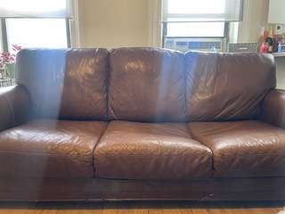 Img 1564
