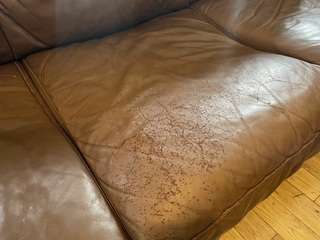 Img 1565