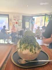 Img 3955
