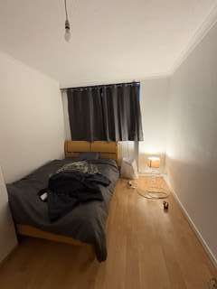 Img 6756
