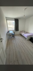 Img 7944