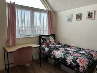 Img 4556