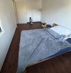 Img 7906