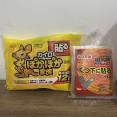 Img 8981
