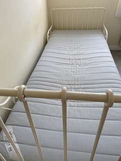 Img 1265