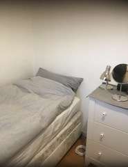 Img 3752