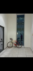 Img 8504