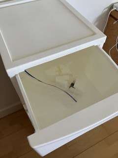 Img 4523