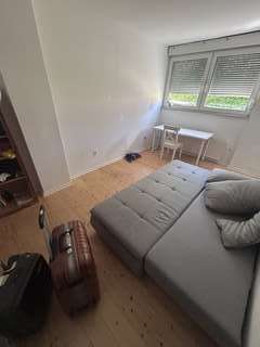 Img 7357