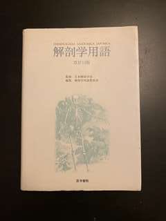 Img 3388