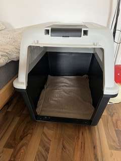 Img 5571