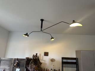 Img 4499