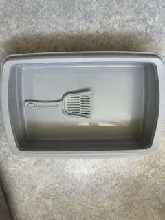 Img 3594