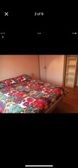 Img 9174