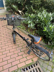Img 0247 optimized 250