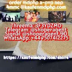 Mdphp 1