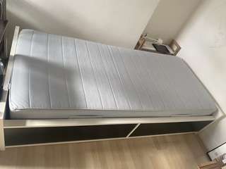 Img 7648