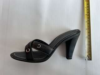 Img 0976