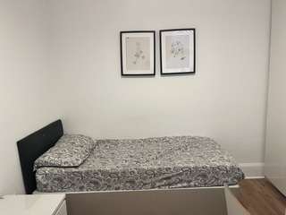 Img 4785