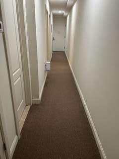 Img 3252