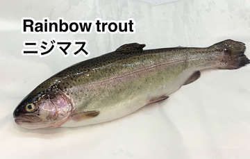 Phonto