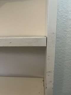 Img 3285