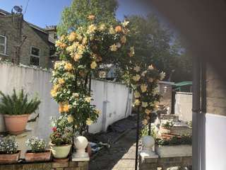 Img 0058
