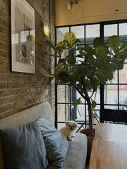 Img 6577