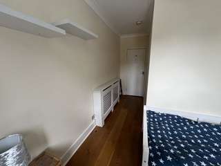 Img 7351
