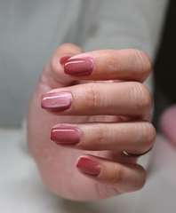 Img 0551
