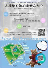 Flayer japanese