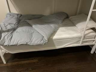 Img 3317
