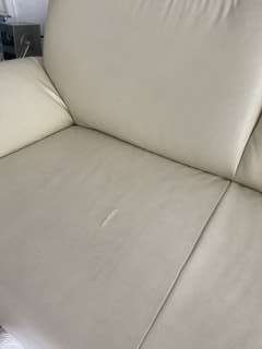 Img 1448