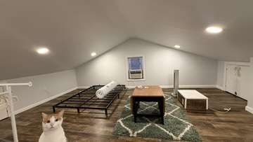 Img 1560
