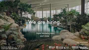 Digital marketing intern
