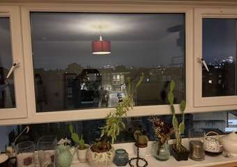 Img 8956