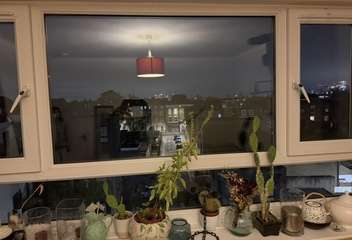 Img 0202