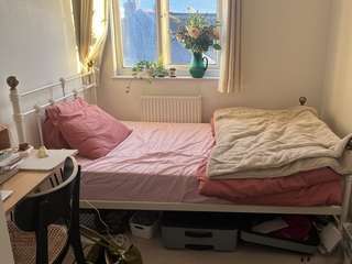 Img 3592