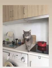 Img 0612