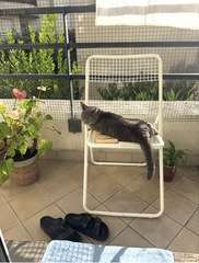 Img 0613