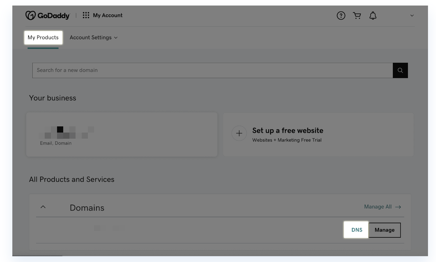 Redirect DNS